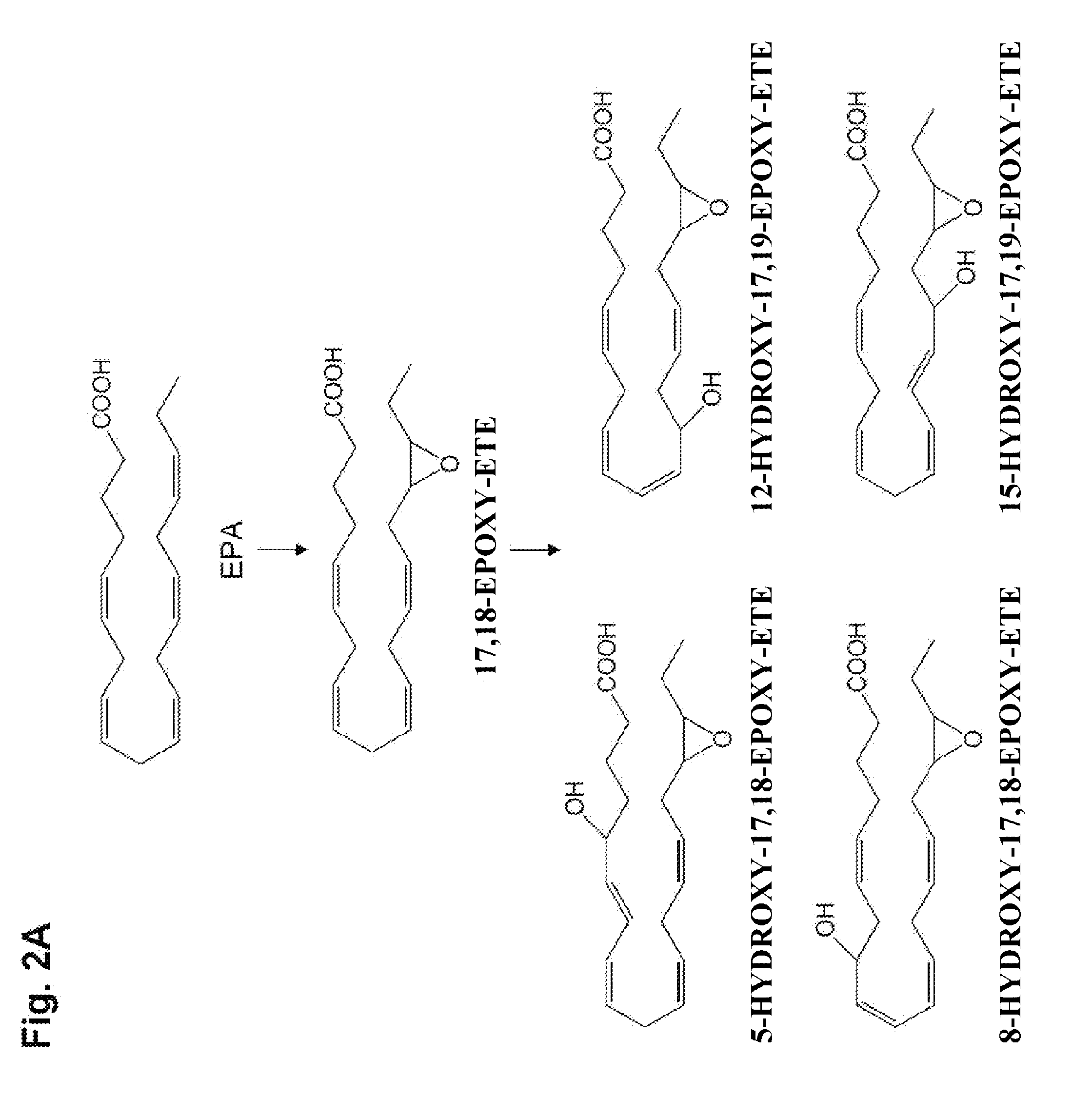 Novel Anti-inflammatory metabolite derived from omega-3-type fatty acid