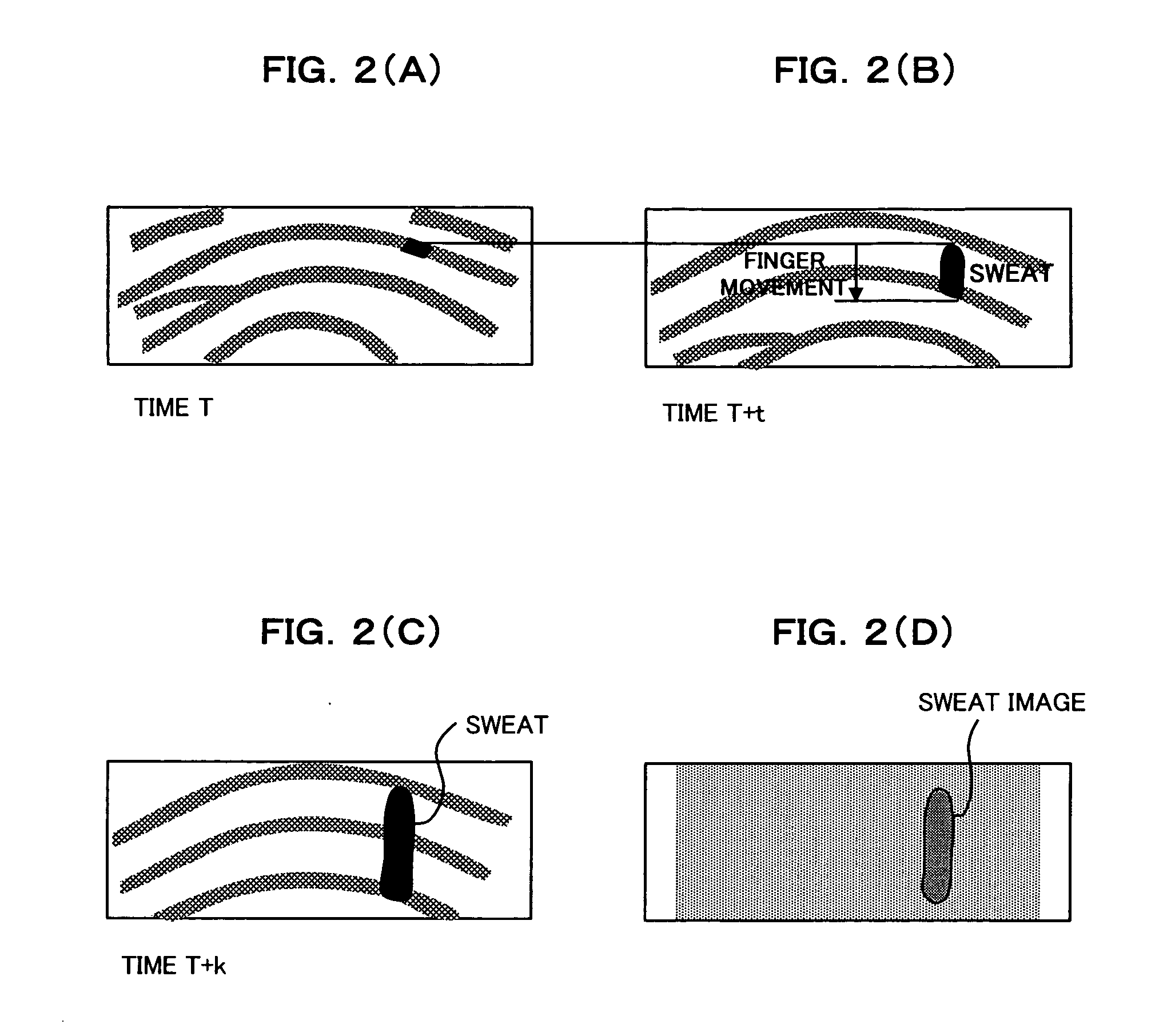 Living-body detecting apparatus and method, and authenticating apparatus having living-body detecting function