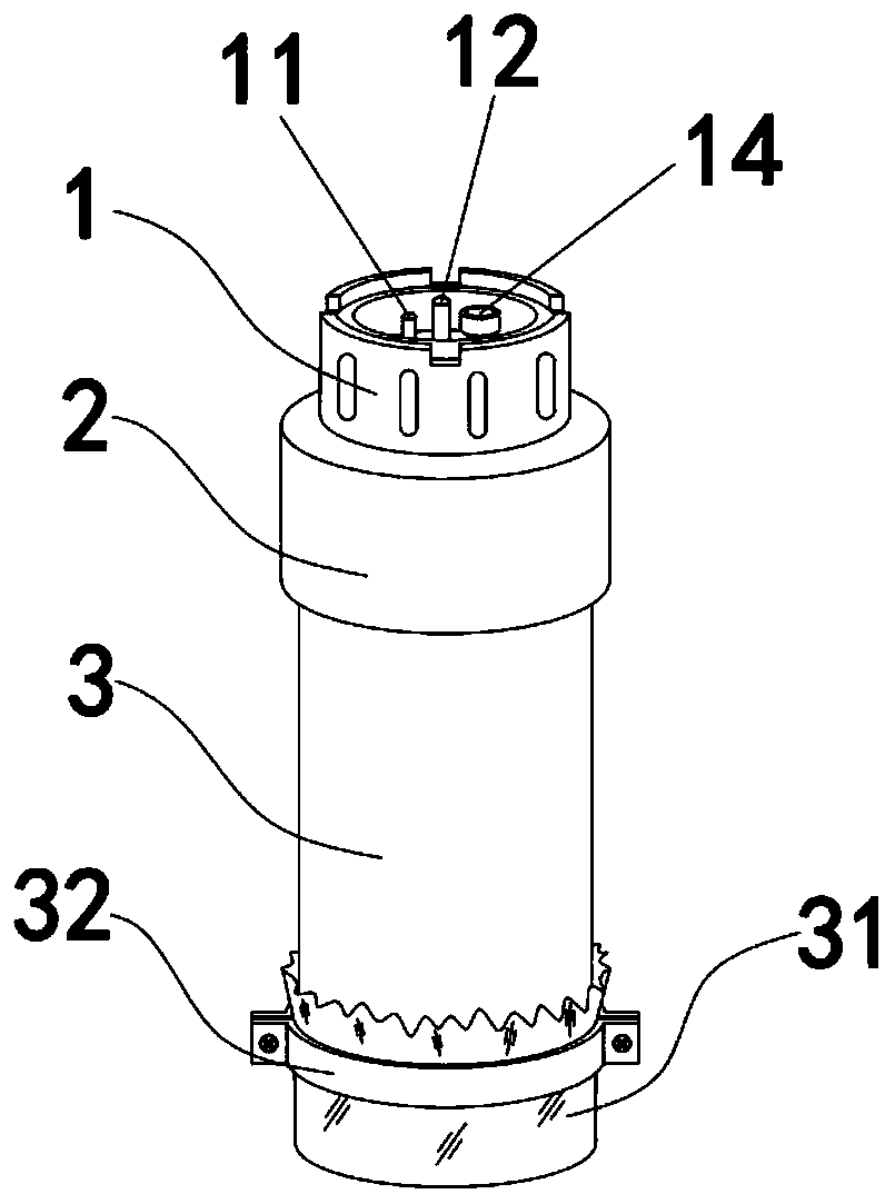 Feeding apparatus and feeding method of eisenia foetida, and application of feeding apparatus and feeding method