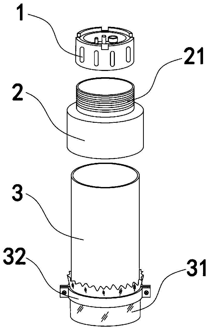 Feeding apparatus and feeding method of eisenia foetida, and application of feeding apparatus and feeding method