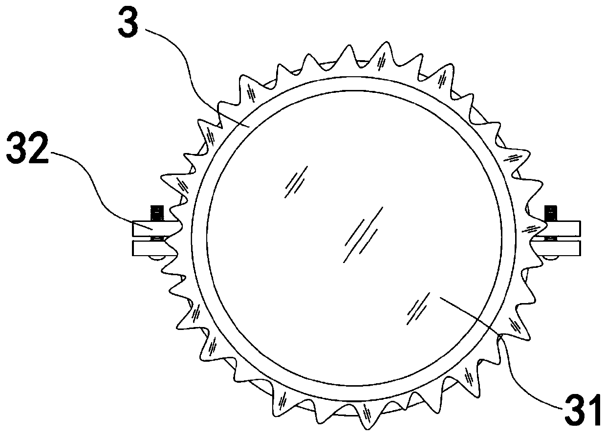 Feeding apparatus and feeding method of eisenia foetida, and application of feeding apparatus and feeding method