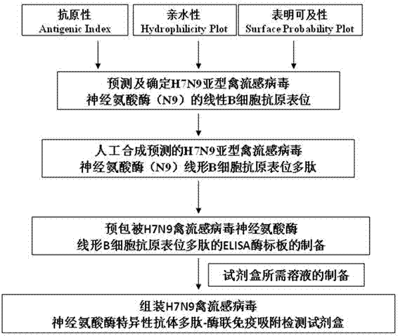 Polypeptide-ELISA (enzyme linked immunosorbent assay) kit for detecting H7N9 subtype avian influenza virus NA (neuraminidase) specific antibody