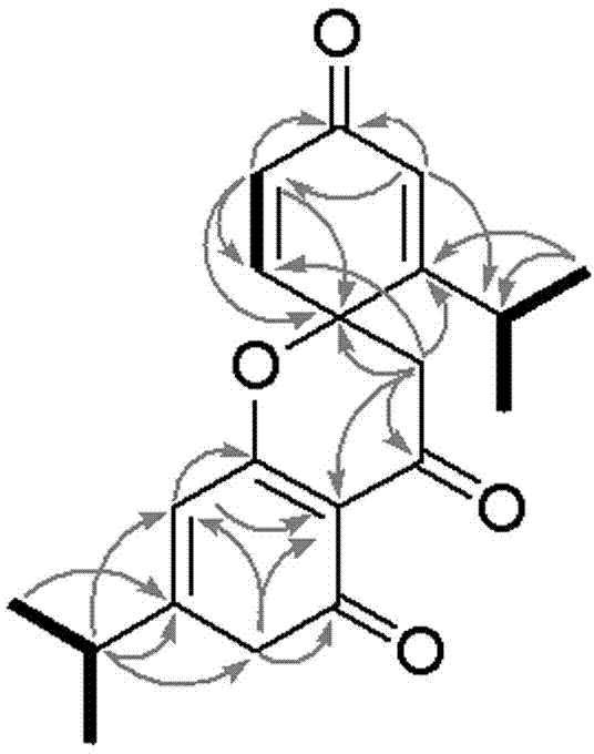 Dimeric monoterpene compounds, and preparation method and application thereof