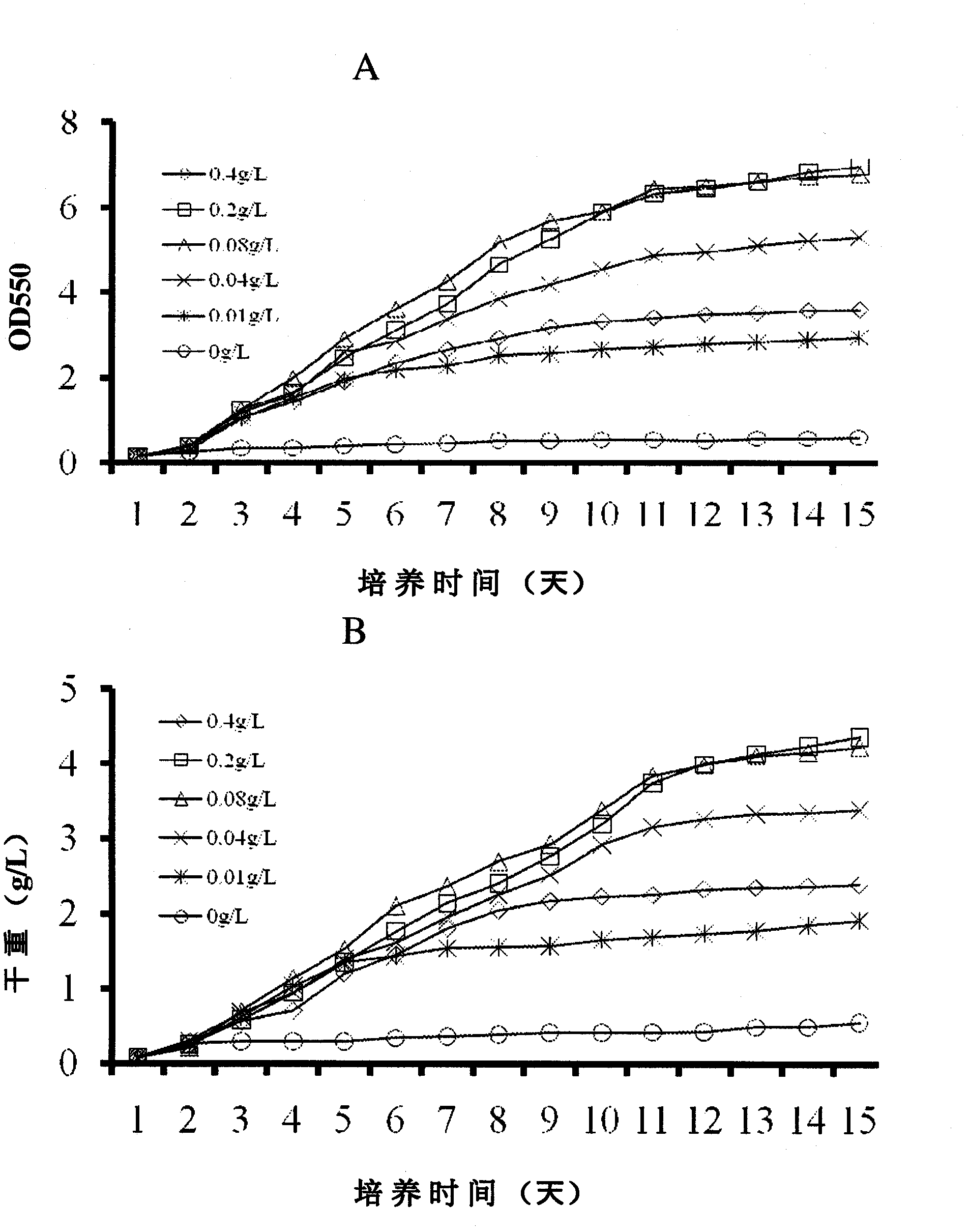 Cultivation of green algae chlorococcum pamirum for production of biofuel