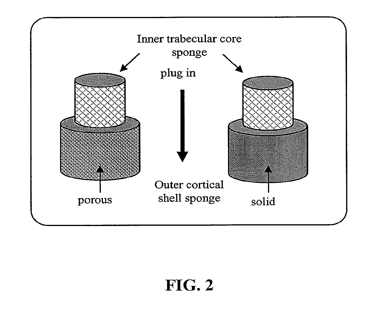 Bi-layered bone-like scaffolds