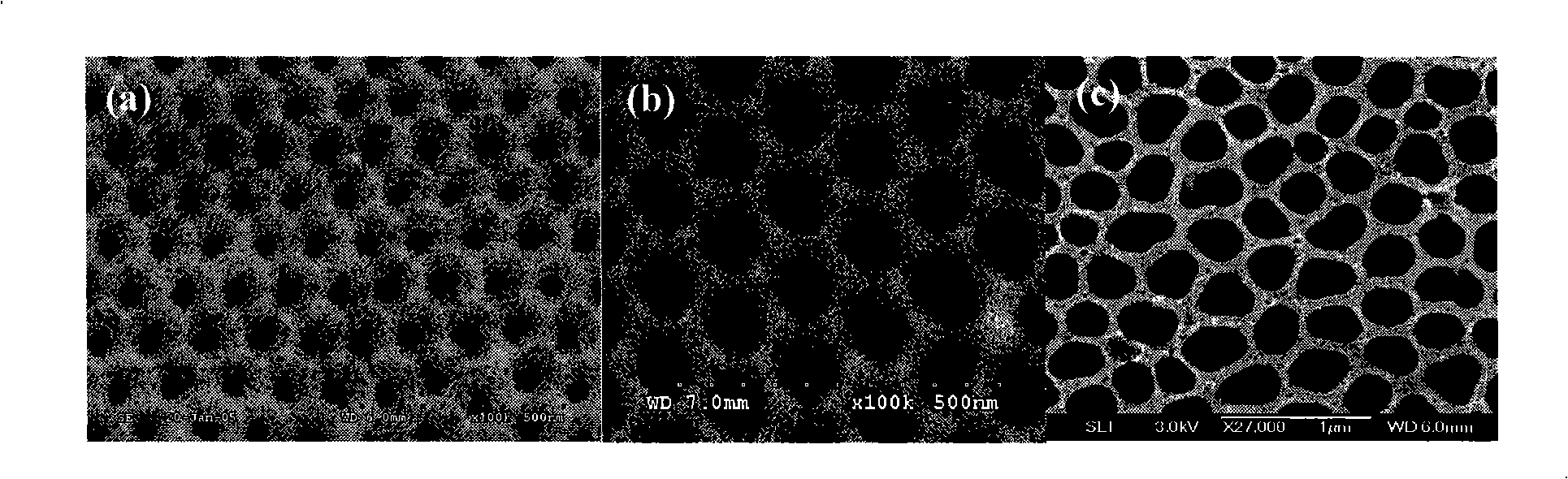 Method for preparing organic net membrane