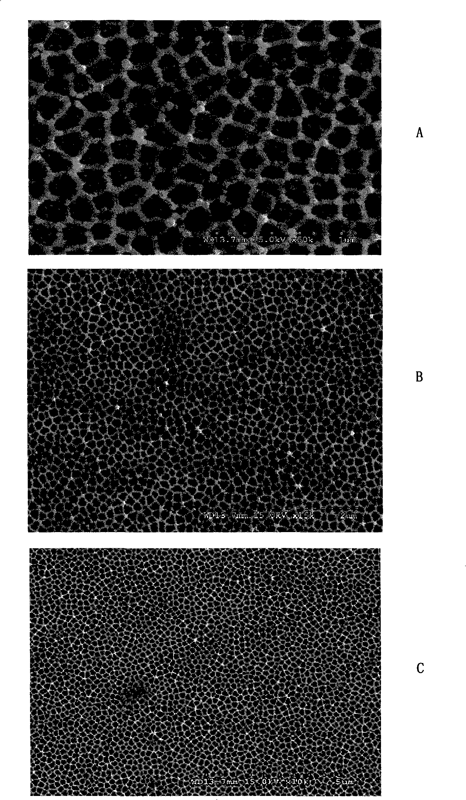 Method for preparing organic net membrane