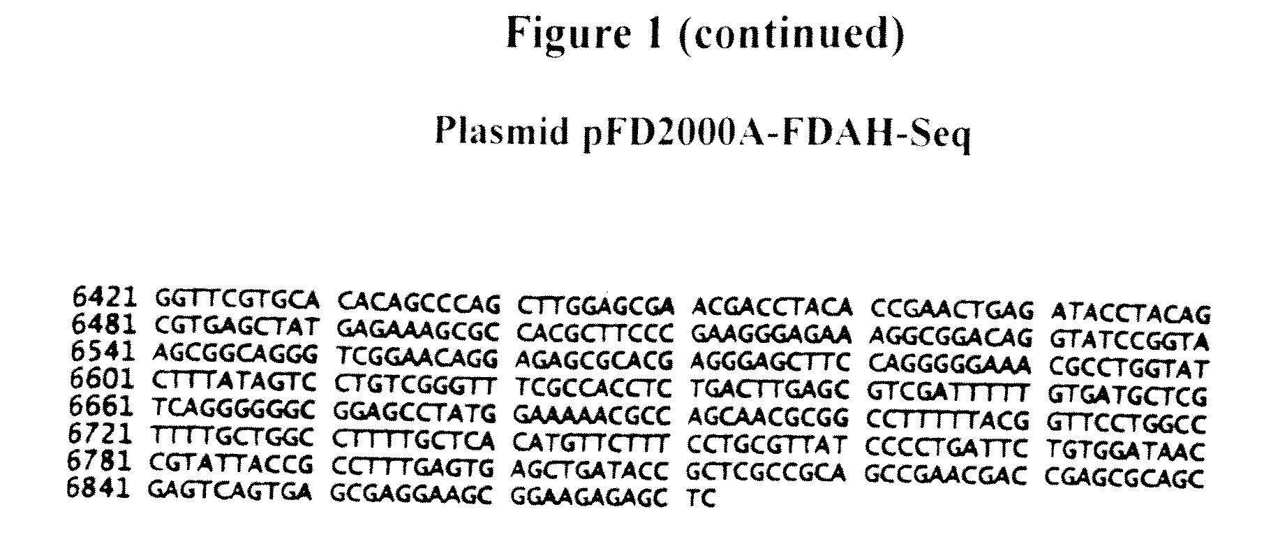 Raccoon Poxvirus Expressing Genes of Feline Antigens