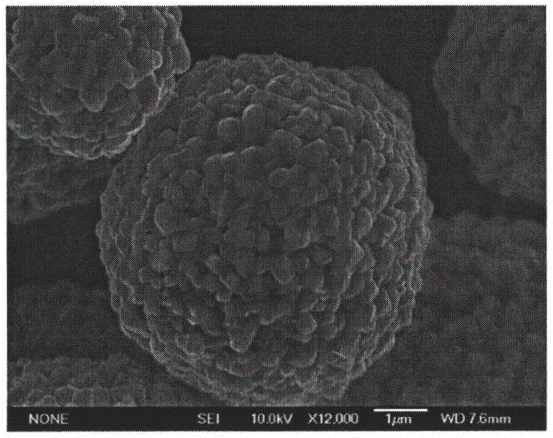 Preparation method of lithium nickel cobalt aluminate anode material