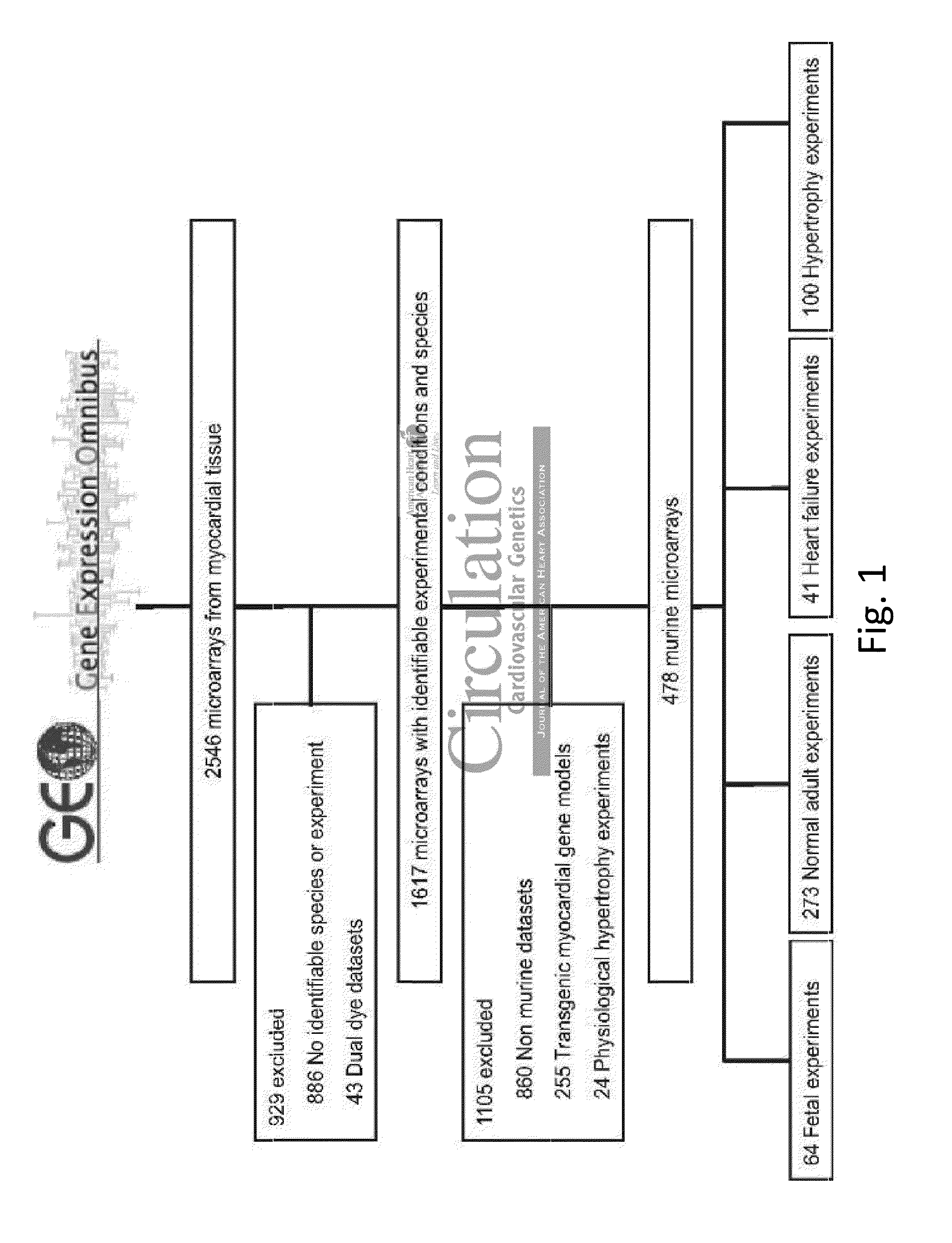 Method and system for network modeling to enlarge the search space of candidate genes for diseases