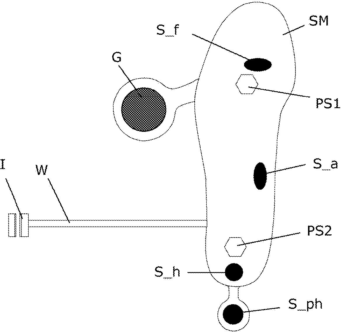 Footwear product for functional electrical stimulation