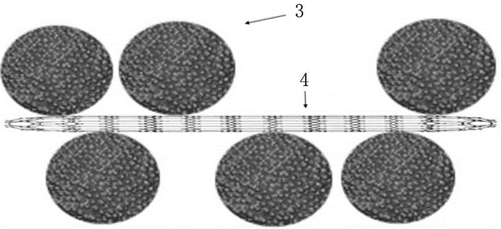 Carbon nano-tube procalcitonin detection kit and preparation method thereof