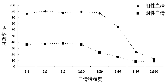 Hybridoma cell strain capable of secreting anti-rift valley fever virus NSs protein monoclonal antibody and application thereof