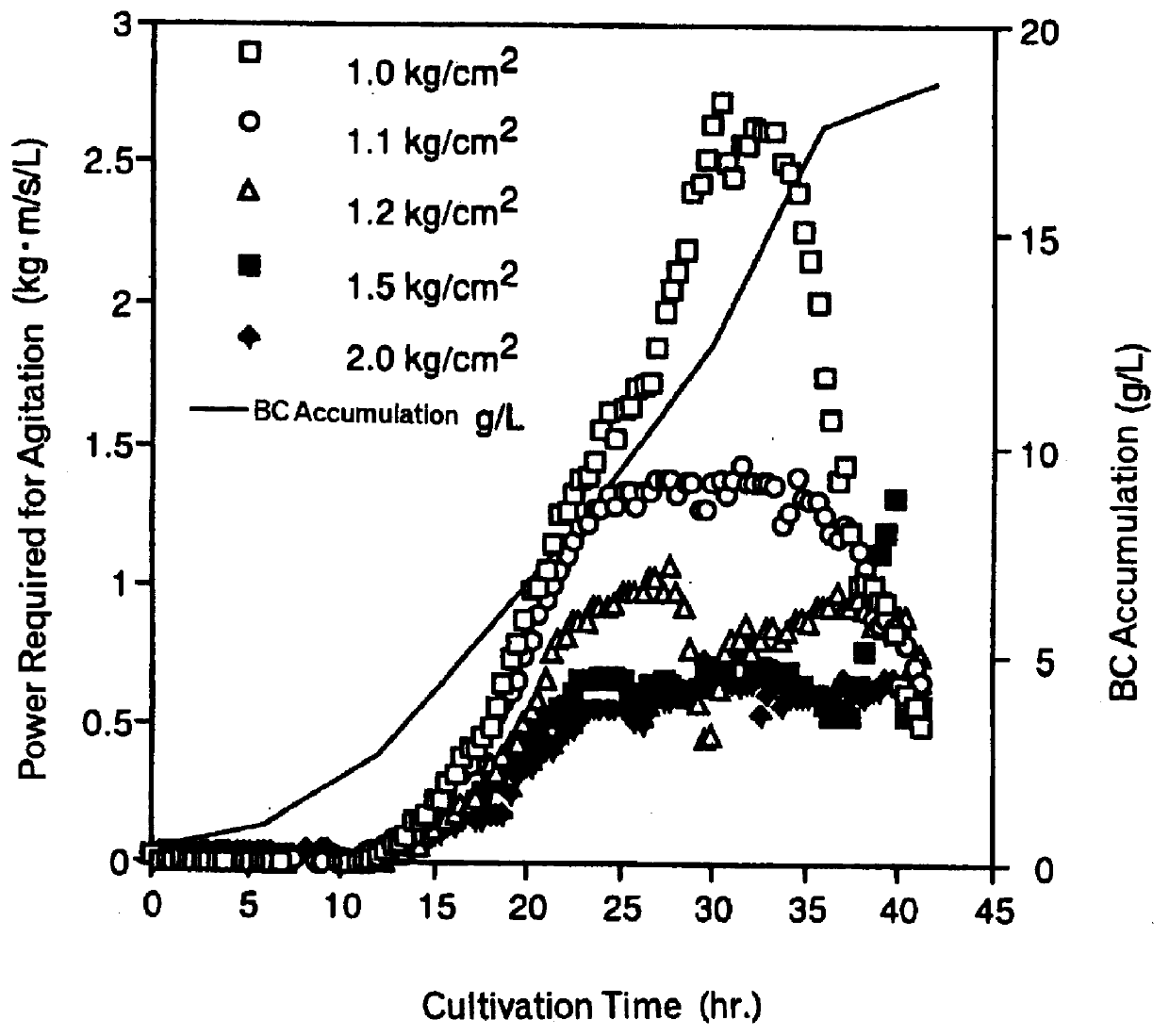 Process for the production of bacterial cellulose