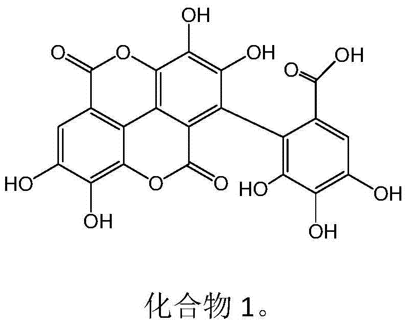 New use of ellagic acid compounds in the preparation of drugs for the treatment of hyperuricemia