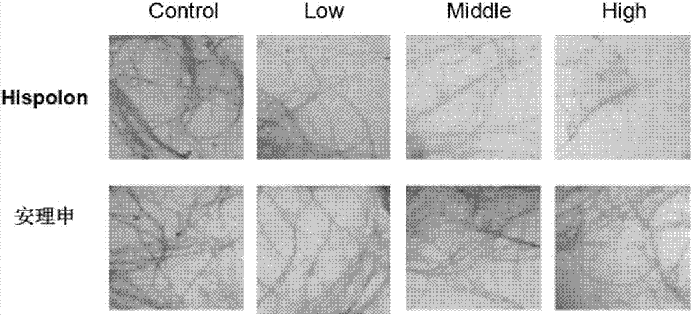 Application of compound in antagonization of accumulation of beta amyloid proteins