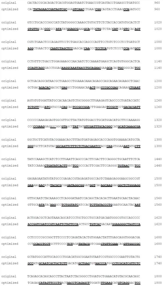 A kind of agbl5 nucleotide sequence encoding cytoplasmic carboxypeptidase-like protein 5 and its application