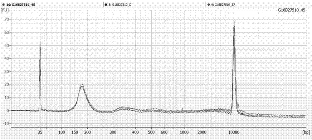 Plasma room-temperature transportation method for detecting fetal free DNA