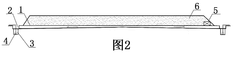 Rapid harmless emergency treatment method of enteromorpha