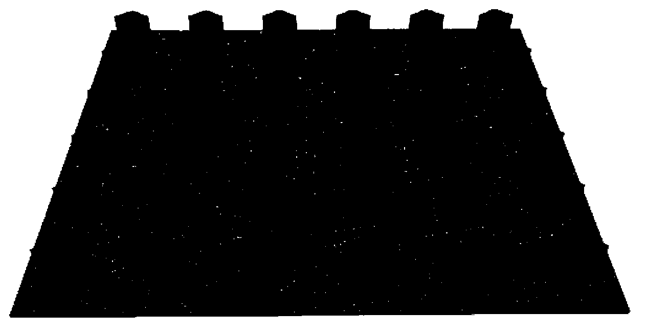 Nano particle precise order assembling method