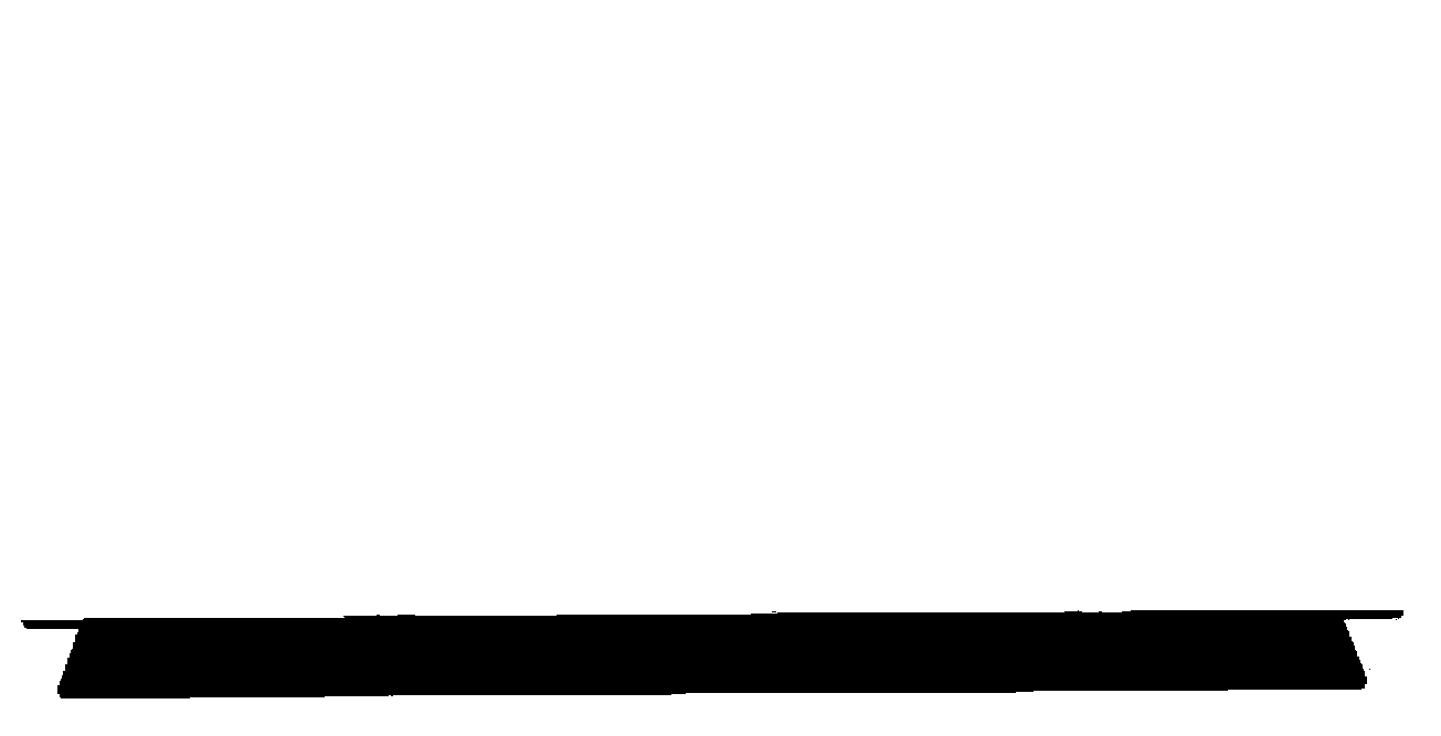 Nano particle precise order assembling method