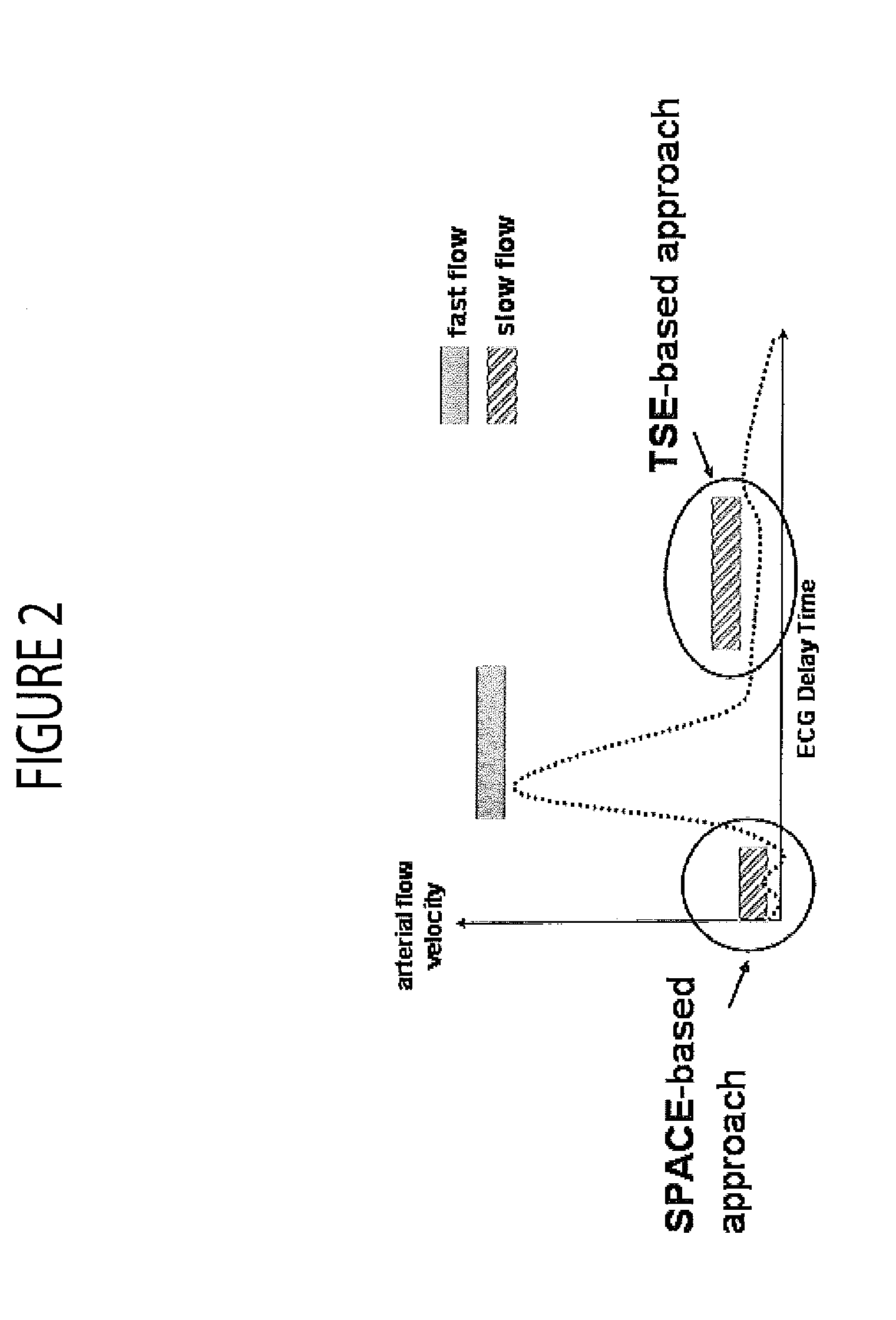 System for Non-Contrast Enhanced MR Anatomical Imaging