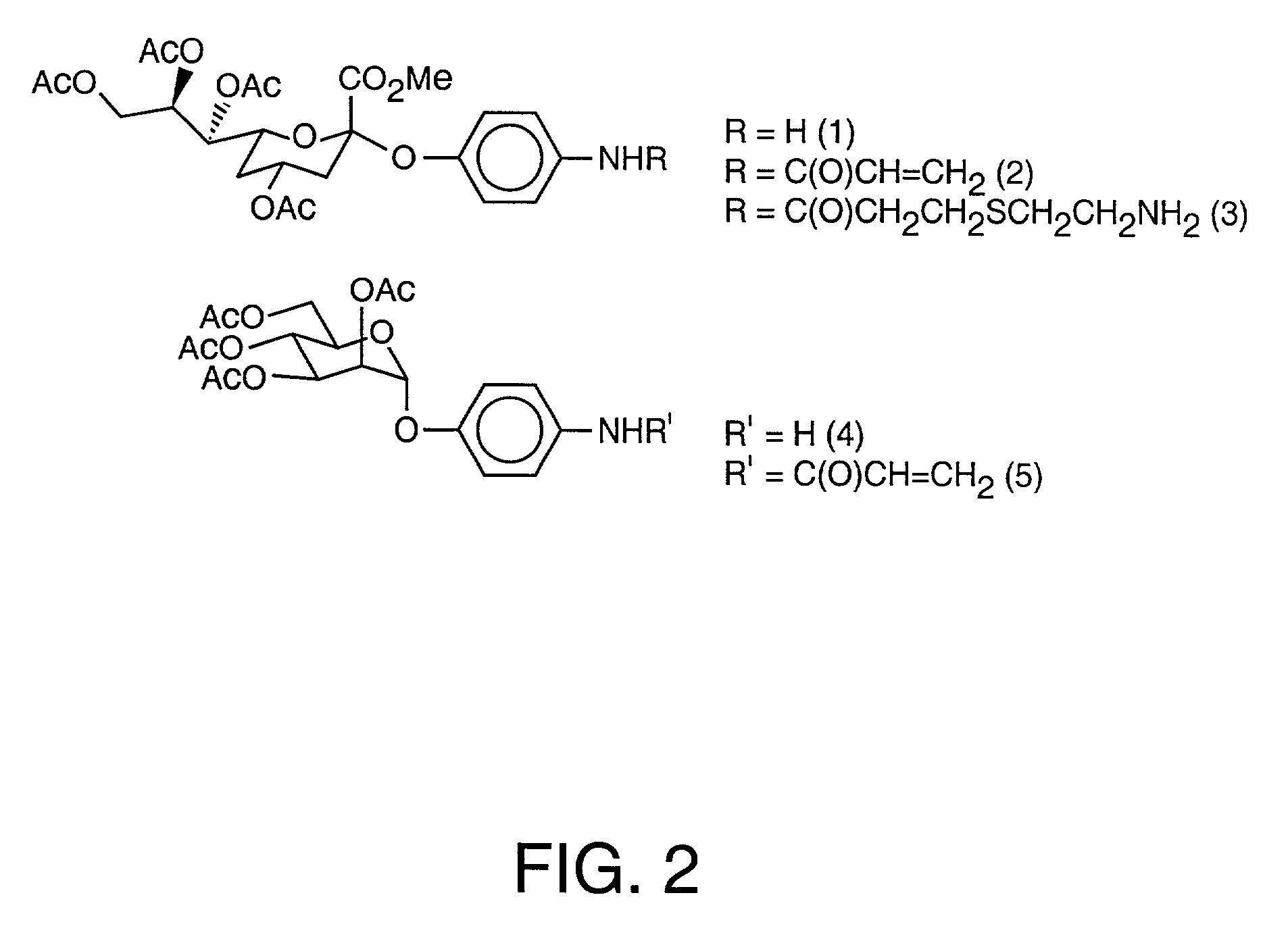 Colorimetric glycopolythiophene biosensors