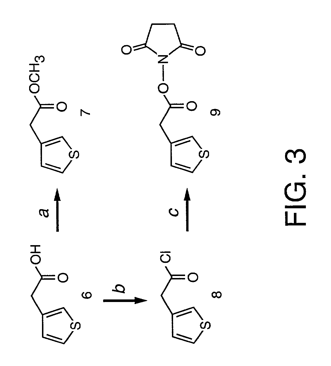 Colorimetric glycopolythiophene biosensors