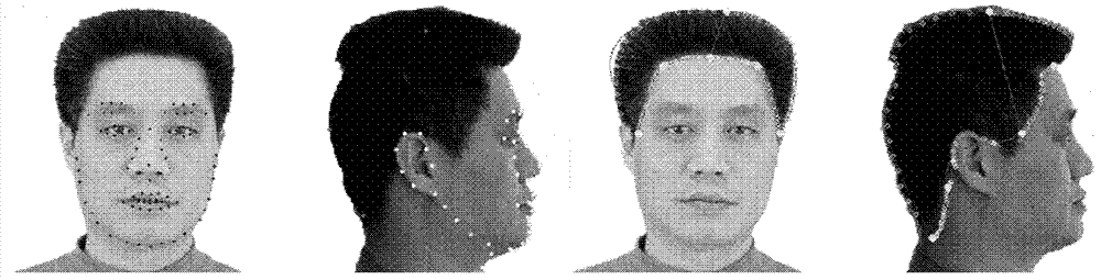 3D Head Model Reconstruction Method