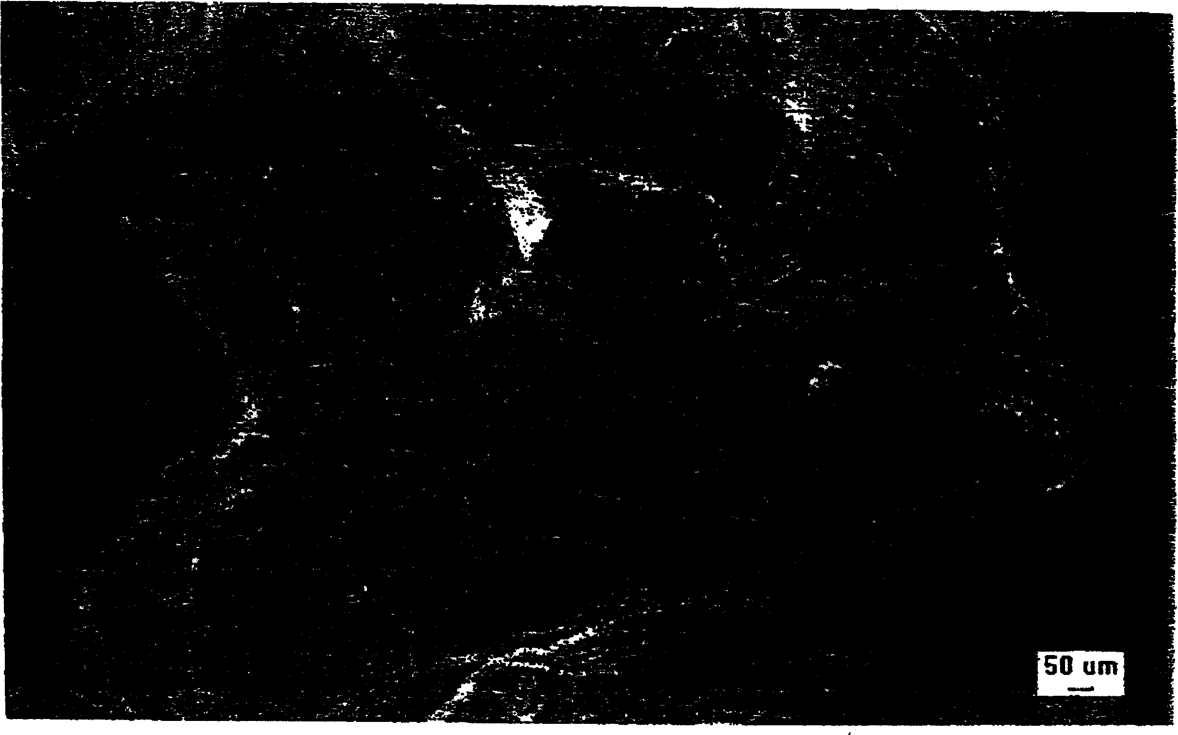 Method of producing coating composition and coating composition made therefrom