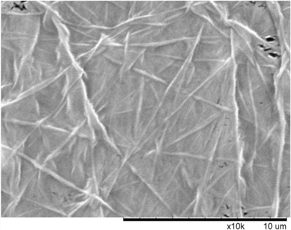 Method for preparing graphene oxide monolayer modified polyacrylonitrile nanofiber membrane