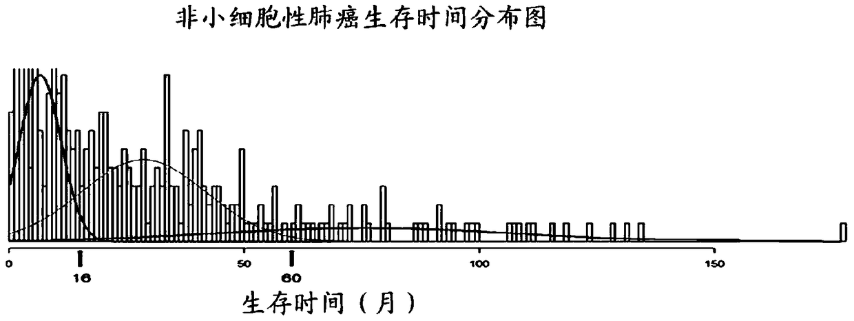 Biomarkers for the prognosis of lung cancer and their uses