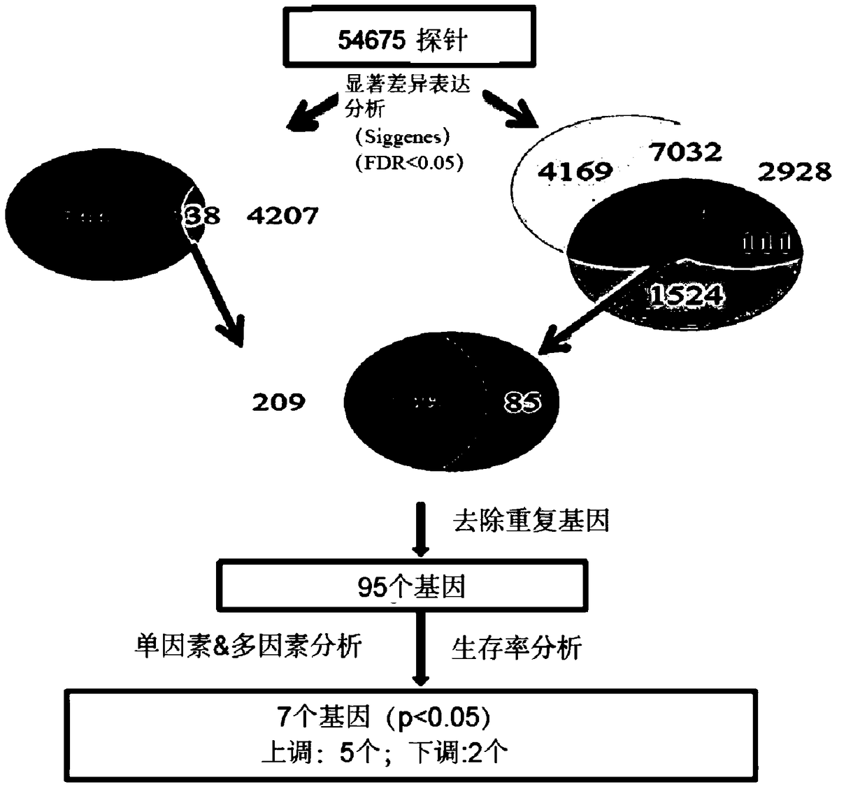 Biomarkers for the prognosis of lung cancer and their uses