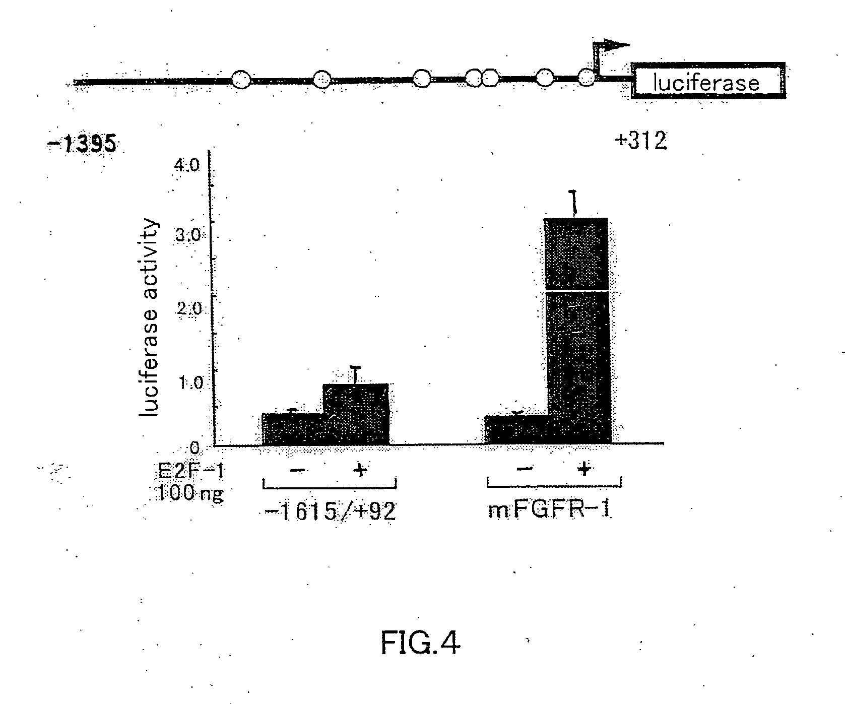 Exon 1 ss of pdgf alpha gene and utilization thereof