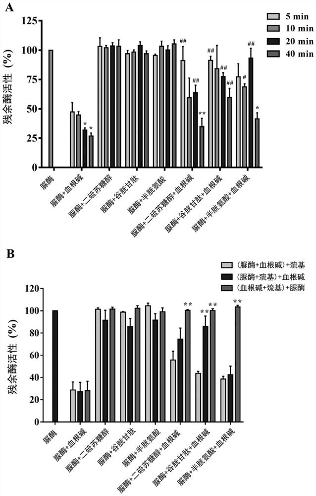 Application of sanguinarine in preparation of canavalia urease inhibitor