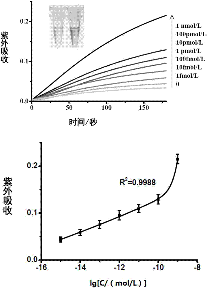 A visualized miRNA detecting method by utilizing an exonuclease reaction to generate primers and dendritic rolling circle amplification