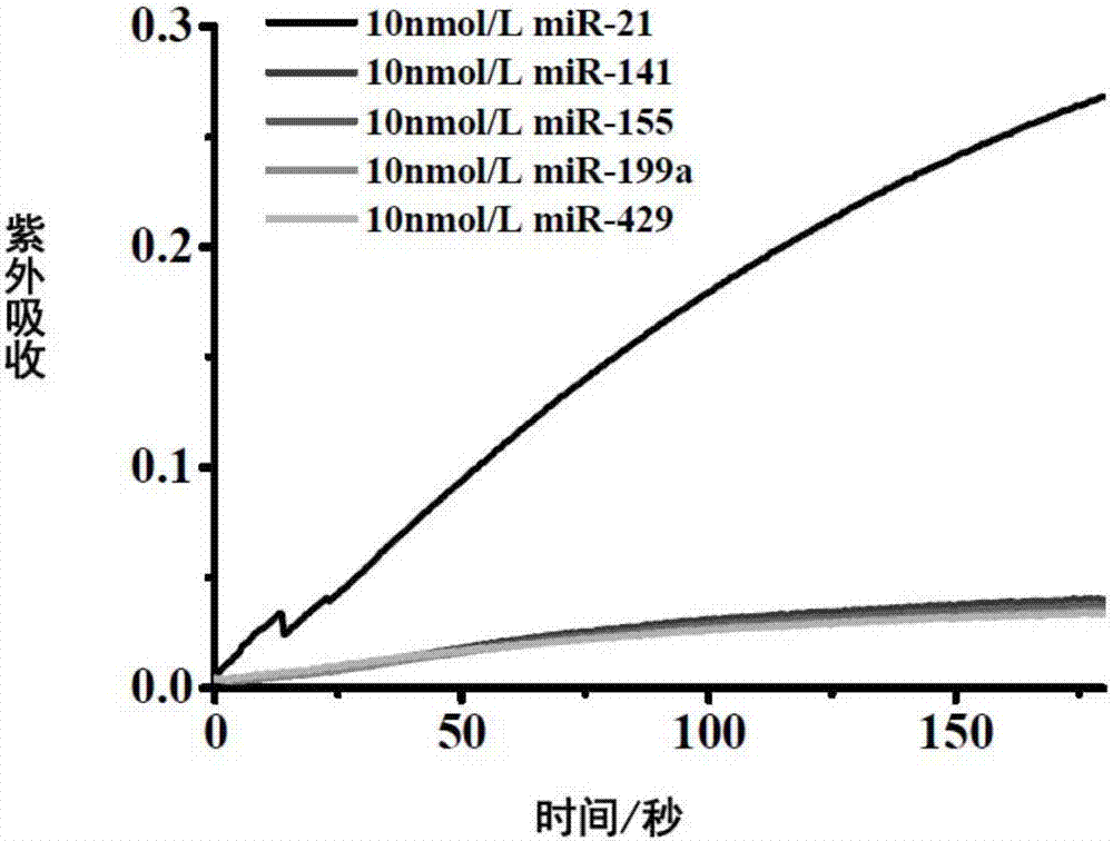 A visualized miRNA detecting method by utilizing an exonuclease reaction to generate primers and dendritic rolling circle amplification