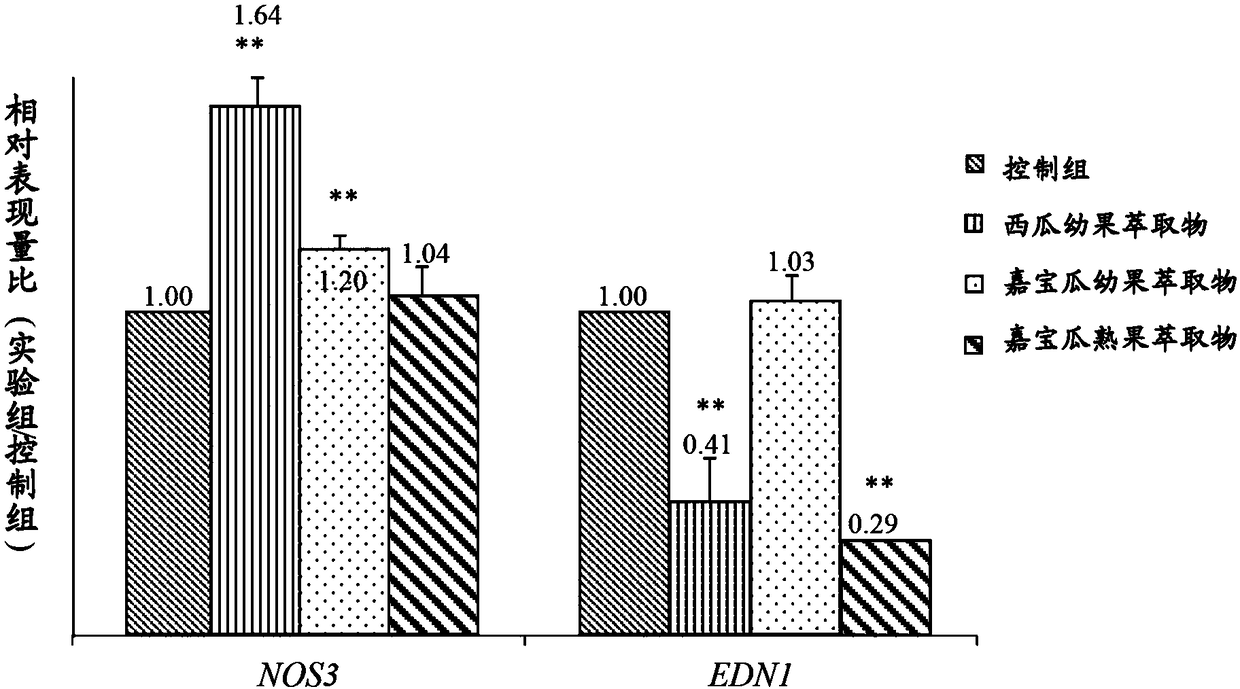 Use of young watermelon fruit and young chiapao melon fruit in preparing medical composition for gene controlling