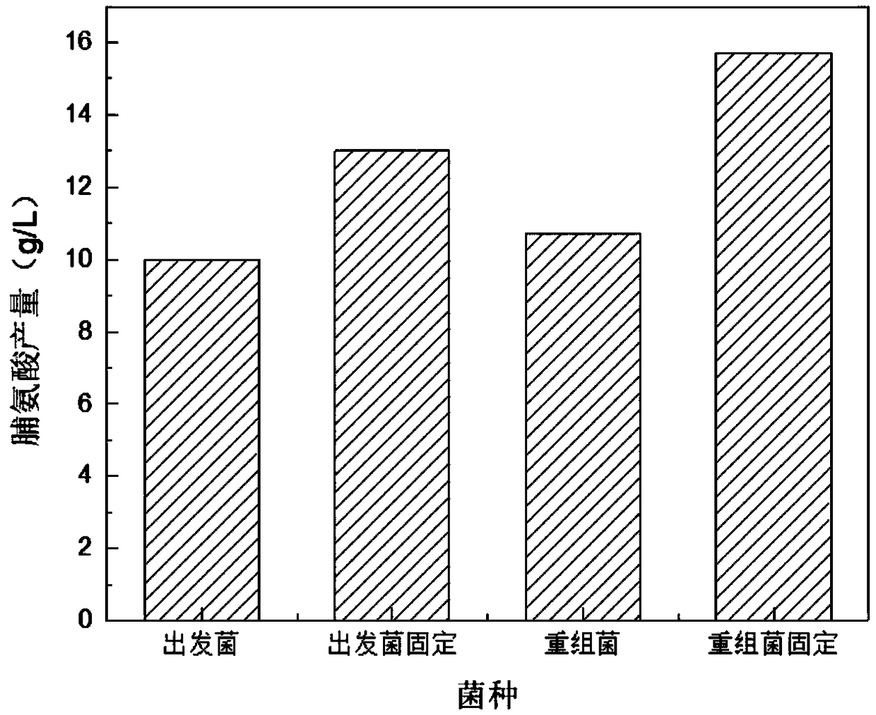 Corynebacterium glutamicum overexpressing adenosine triphosphatase, construction method and application thereof