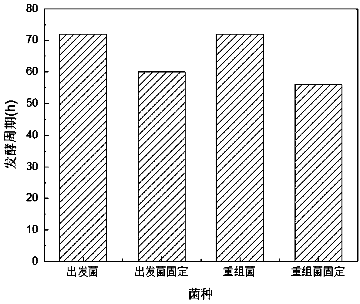 Corynebacterium glutamicum overexpressing adenosine triphosphatase, construction method and application thereof