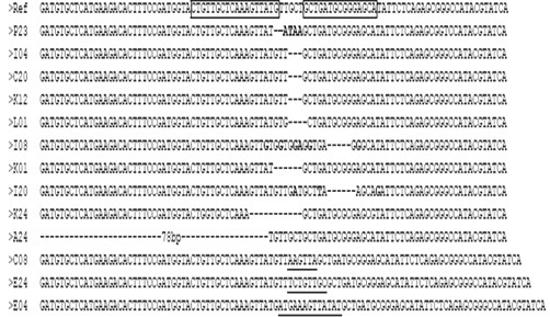 Silkworm fibroin heavy-chain gene mutation sequence and mutation method and application