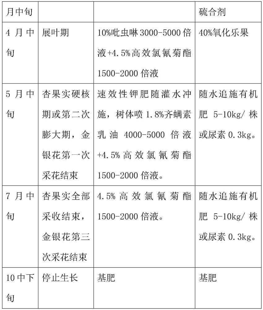 A kind of high-benefit intercropping cultivation method of apricot tree in barren sandy soil