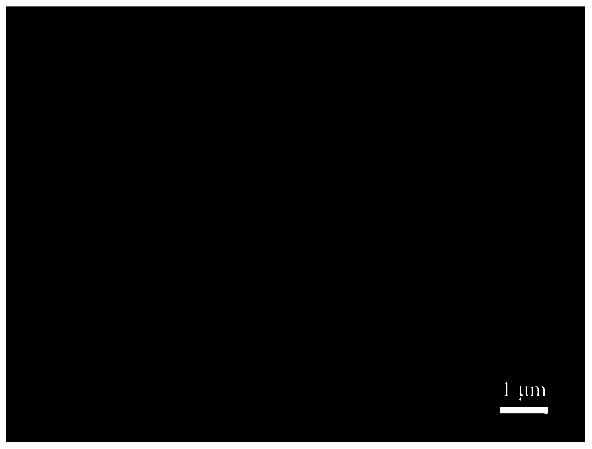 Targeted drug delivery system for double-effect treatment and preparation method and application of targeted drug delivery system