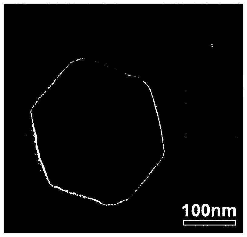 Targeted drug delivery system for double-effect treatment and preparation method and application of targeted drug delivery system