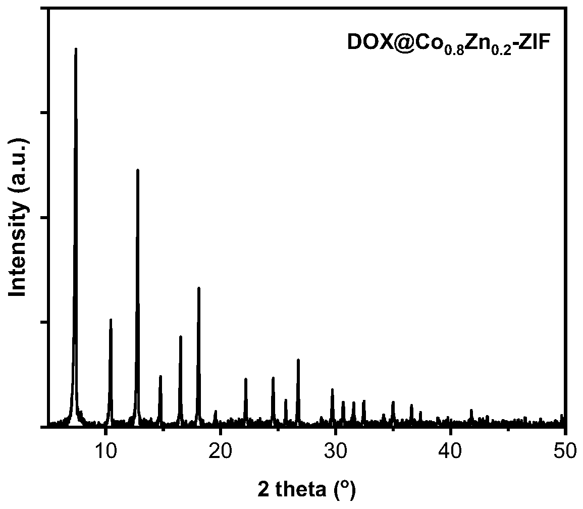 Targeted drug delivery system for double-effect treatment and preparation method and application of targeted drug delivery system