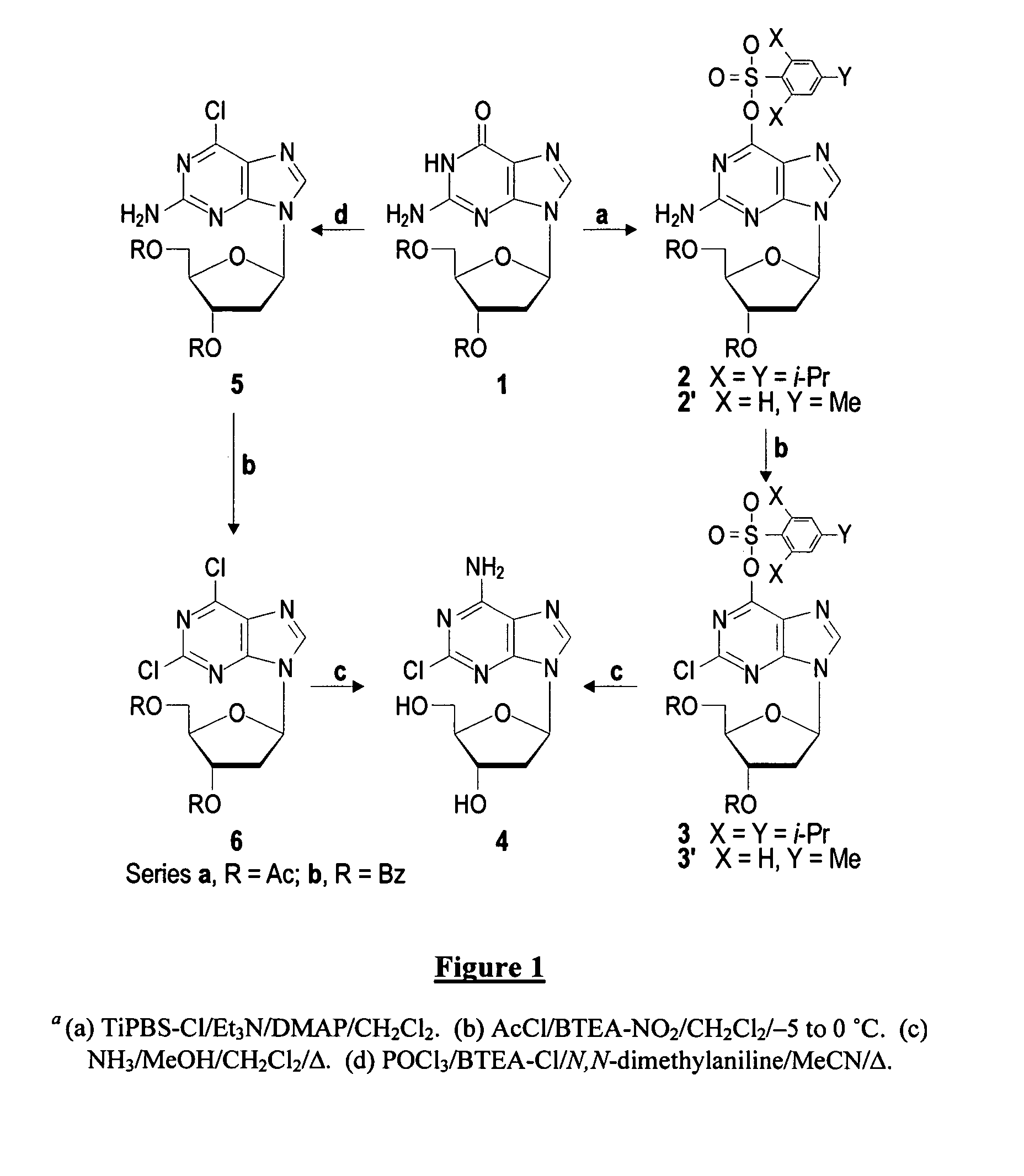 Method for the preparation of 2-halo-2'-deoxyadenosine compounds from 2'-deoxyguanosine