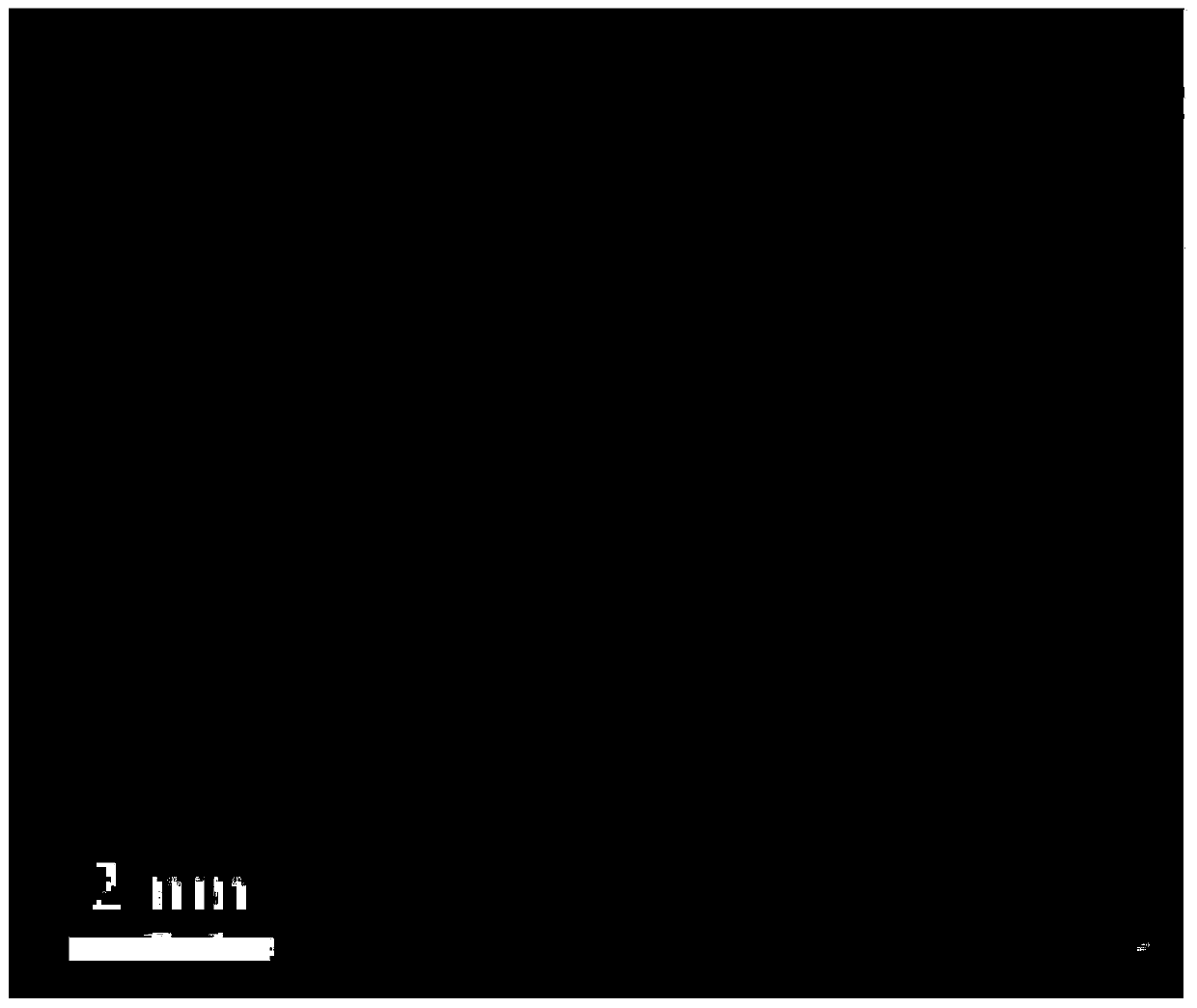 Bimetallic-activity monatomic catalyst for metal-air battery and preparation method thereof and metal-air battery