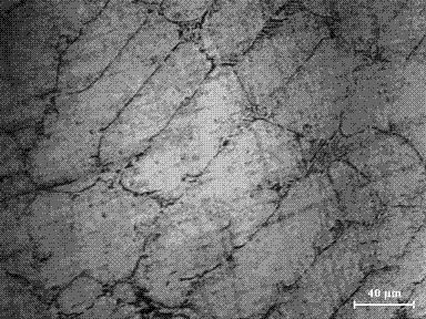 Nickel-chromium alloy target with high purity and high compositional uniformity and method for preparing same