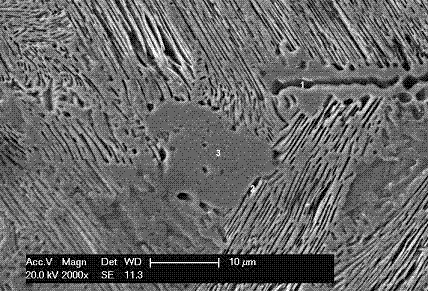 Nickel-chromium alloy target with high purity and high compositional uniformity and method for preparing same