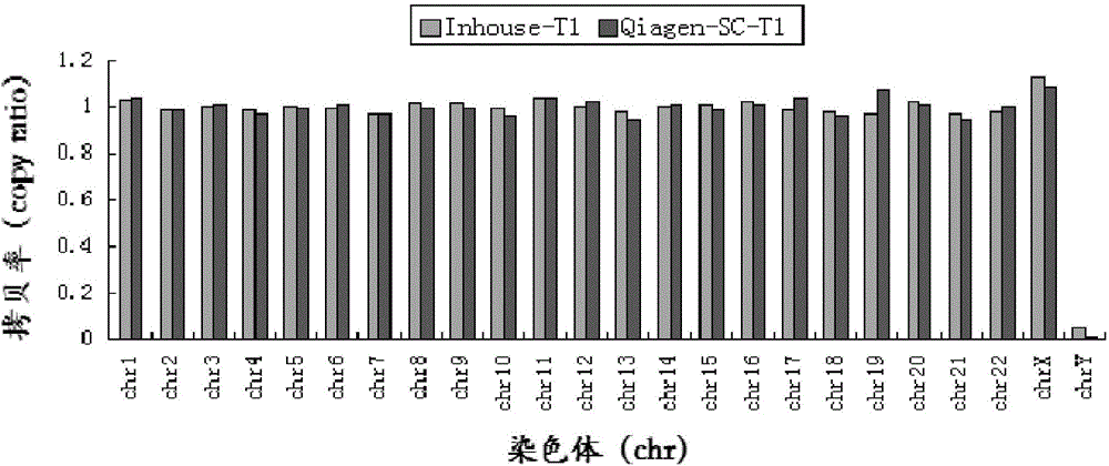 Kit for single cell genome-wide amplification and application thereof